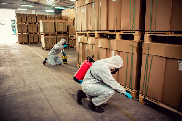 Best Exterminator Services  in Vinita Park, MO
