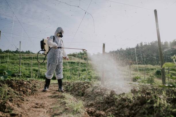 Best Best Pest Control Companies  in Vinita Park, MO