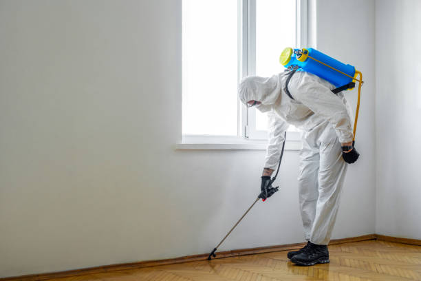 Best Pest Control Treatment  in Vinita Park, MO