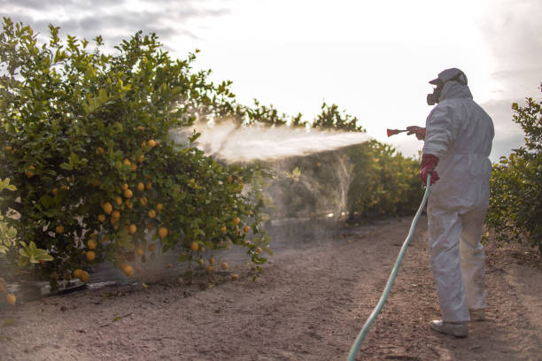 Best Residential Pest Control  in Vinita Park, MO