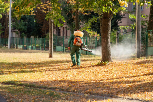 Best Local Pest Control Services  in Vinita Park, MO