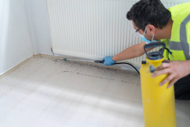 Best Pest Prevention Services  in Vinita Park, MO
