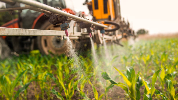 Best Pest Removal Services  in Vinita Park, MO